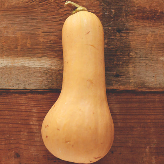 Butternut Squash