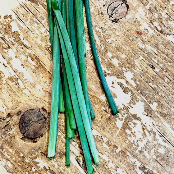 Fresh Chives