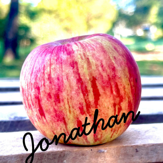 Jonathan Apples