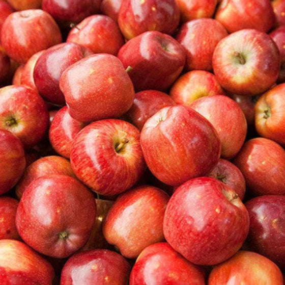 Gala Apples
