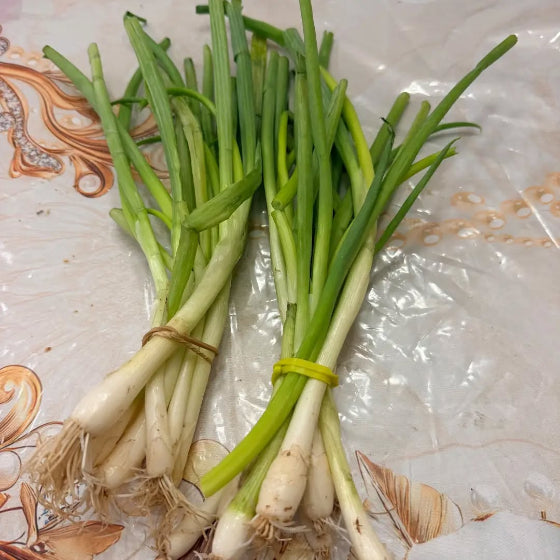 Green Onion