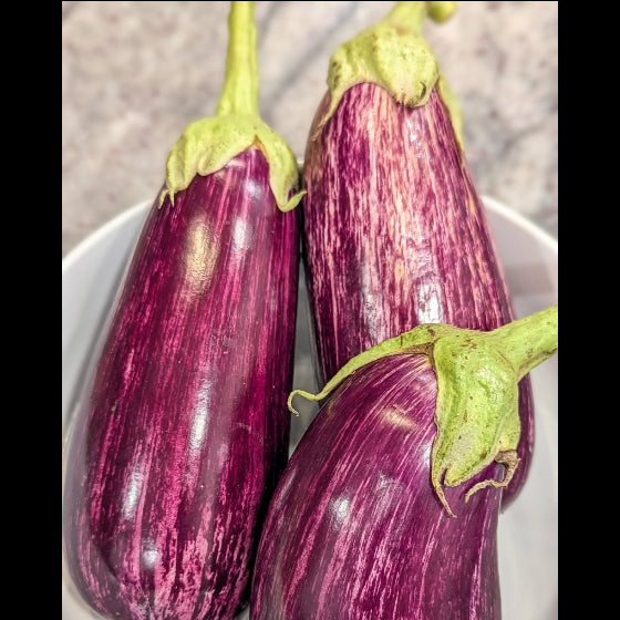 Fairytail Eggplant