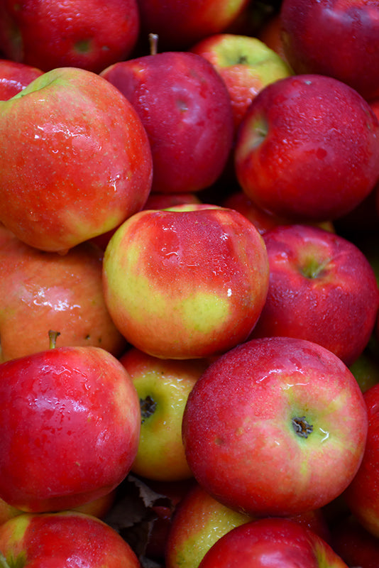 Produce