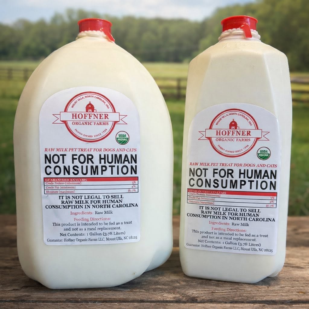Dairy & Eggs