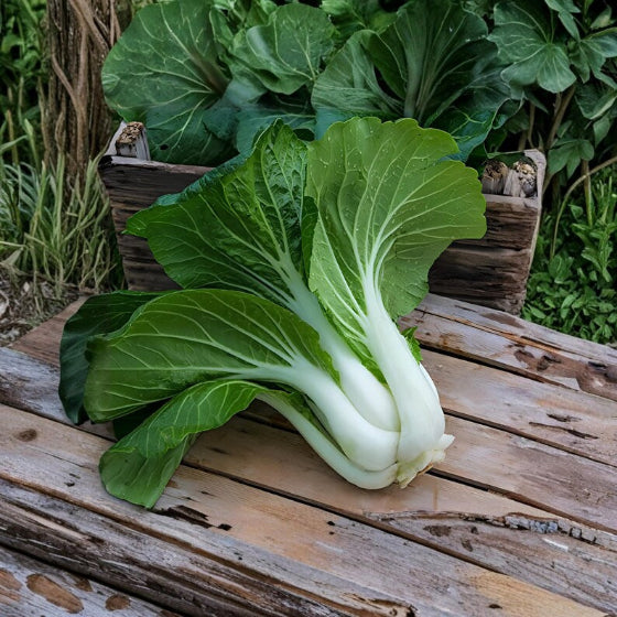 Baby Bok Choy