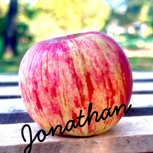 Jonathan Apples