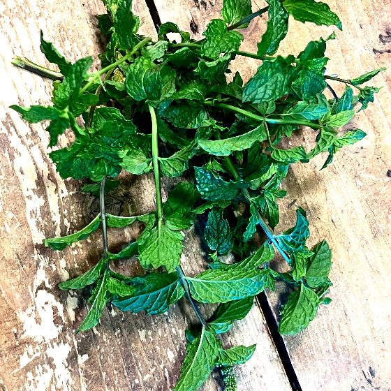 Fresh Mint