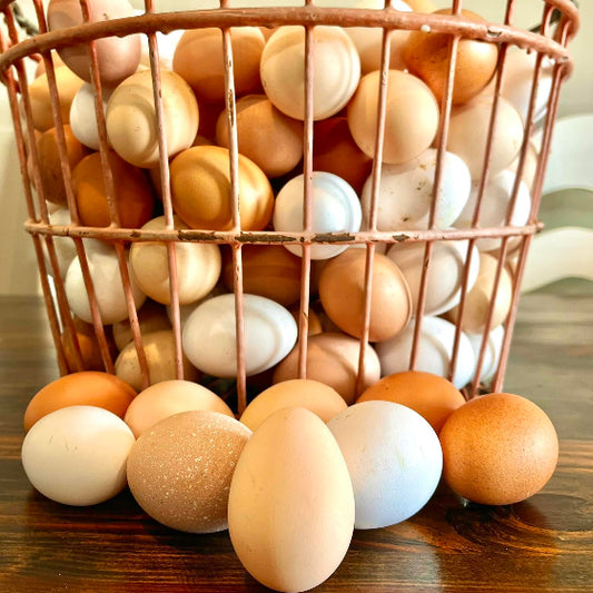 One Dozen Pasture Raised Eggs