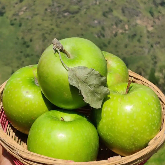 Granny Smith Apples