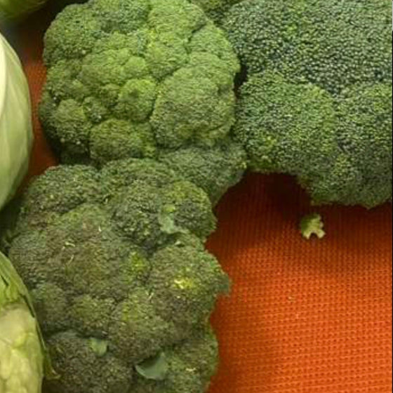 Broccoli