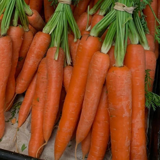 Carrots