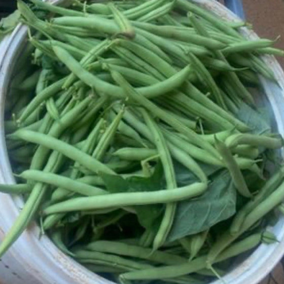 Green Beans