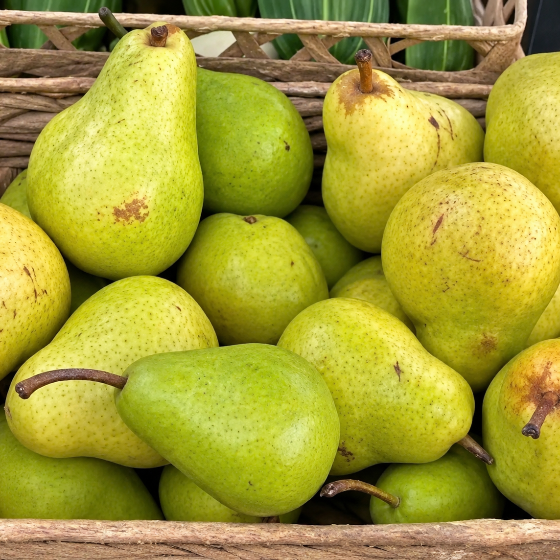 Pears