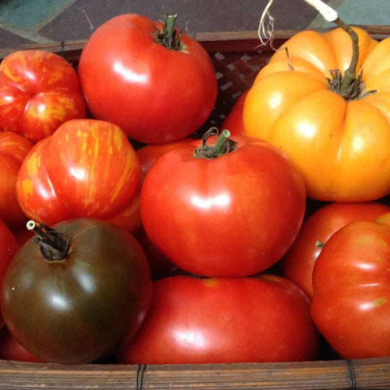 Heirloom Tomatoes