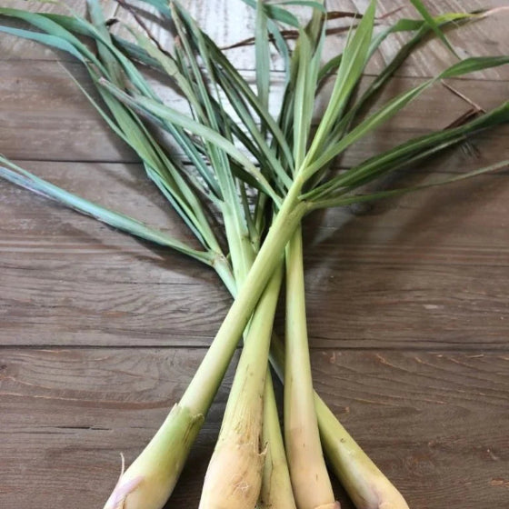 Lemon Grass Stalk