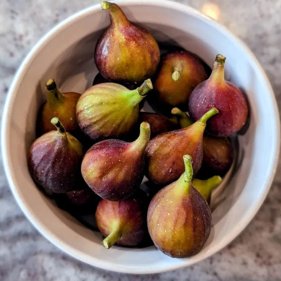Mixed Figs