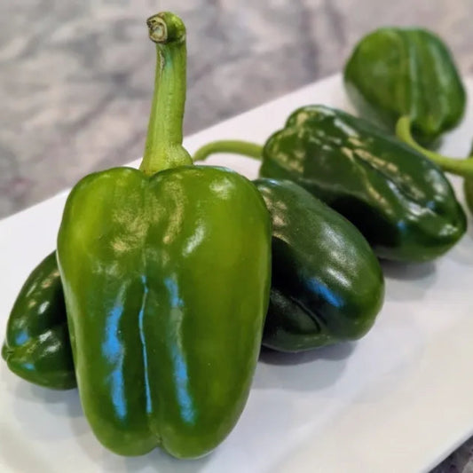 Green Bell Peppers
