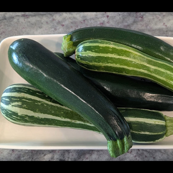 Zucchini (striped and solid)