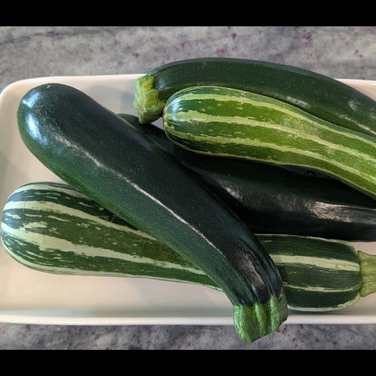 Zucchini (striped and solid)