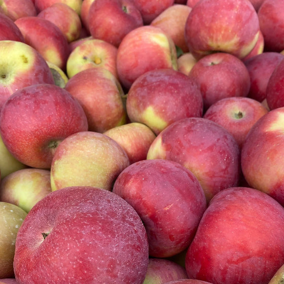 Summerset Apples