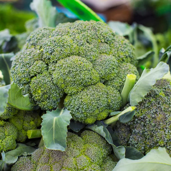 Broccoli